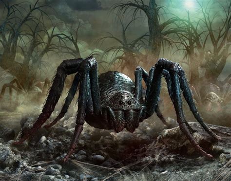 Deadly curse of the spider